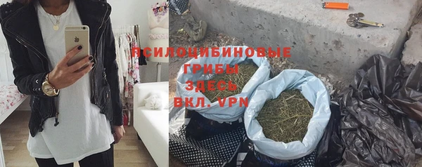 метадон Алексин
