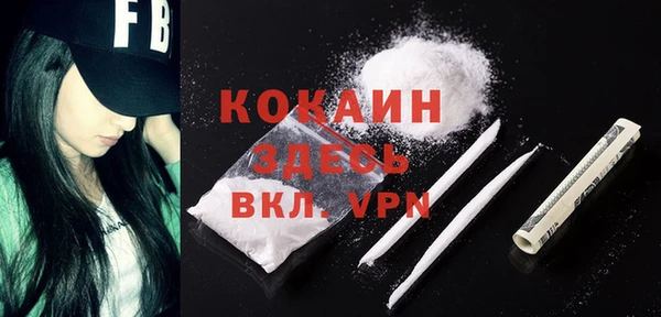 метадон Алексин
