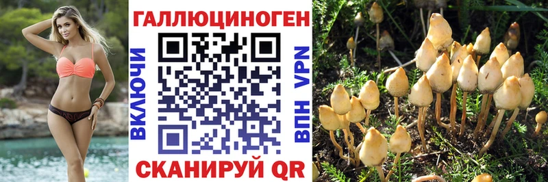 ссылка на мегу маркетплейс Курган Псилоцибиновые грибы MAGIC MUSHROOMS