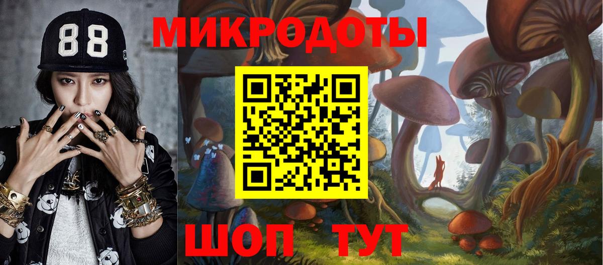 Галлюциногенные грибы Cubensis Курган