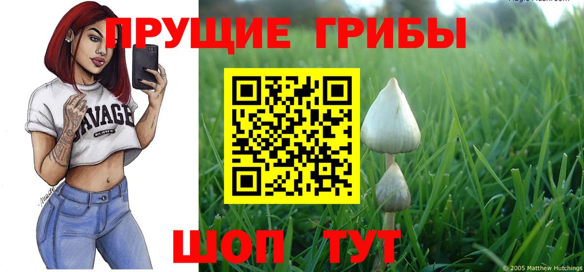 закладка  Псилоцибиновые грибы GOLDEN TEACHER  Вход с VPN  Курган  Галлюциногенные грибы прущие грибы 